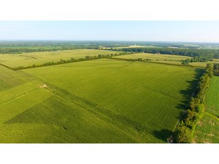 TRACT 4 - ILLINOIS LAND AUCTION - 4,810+/- ACRES OFFERED IN 85 TRACTS IN FRANKLIN, WILLIAMSON, HAMILTON & SALINE COUNTIES, ILLINOIS